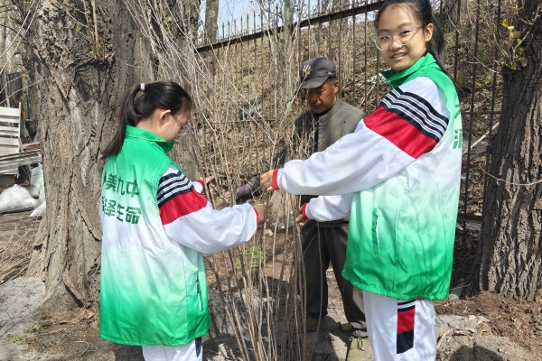 2、扶树填坑 .jpg