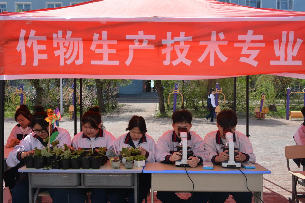 图片11.png