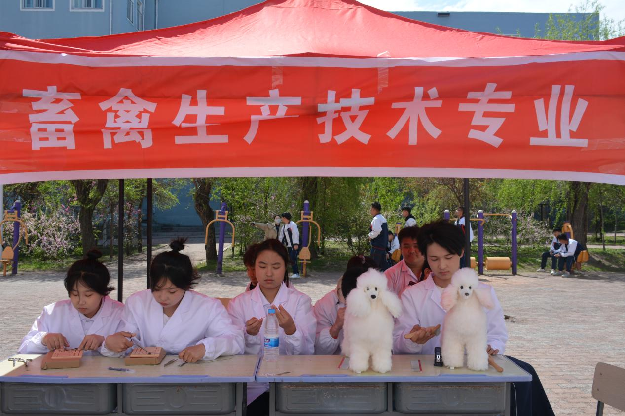 图片12.png