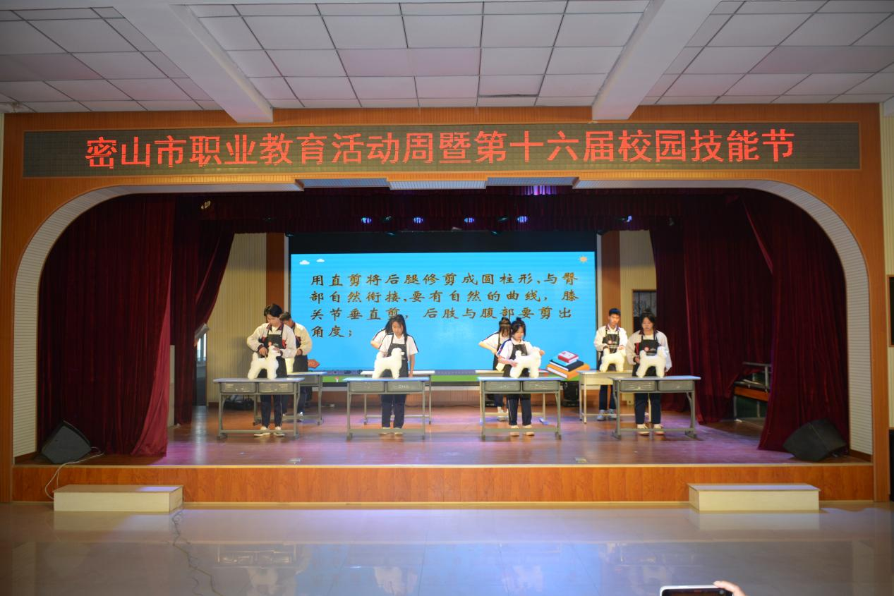 图片24.png