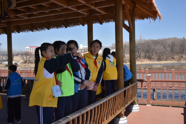 2、湿地公园观鸟.jpg