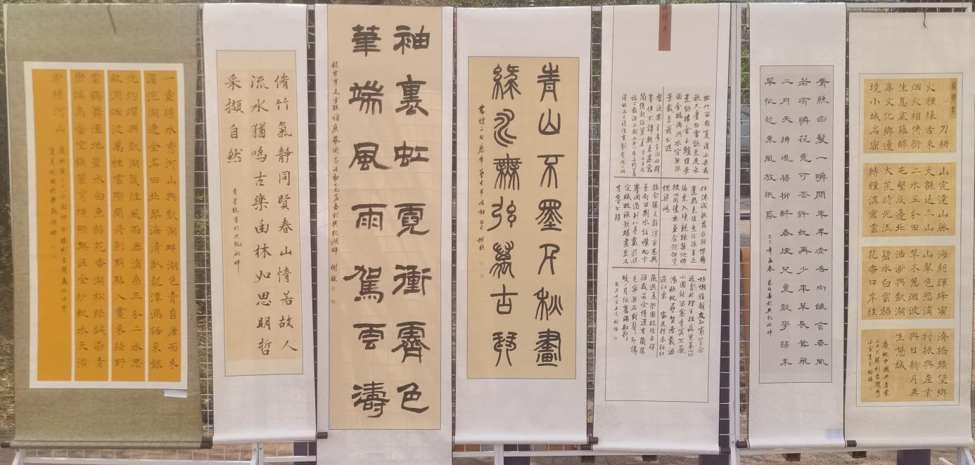 图片6.png