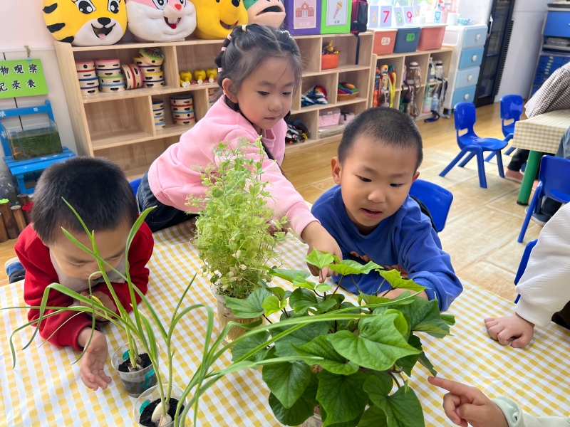 图3：植物探索组.jpg