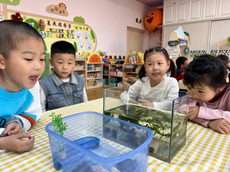 图2：动物观察组.jpg