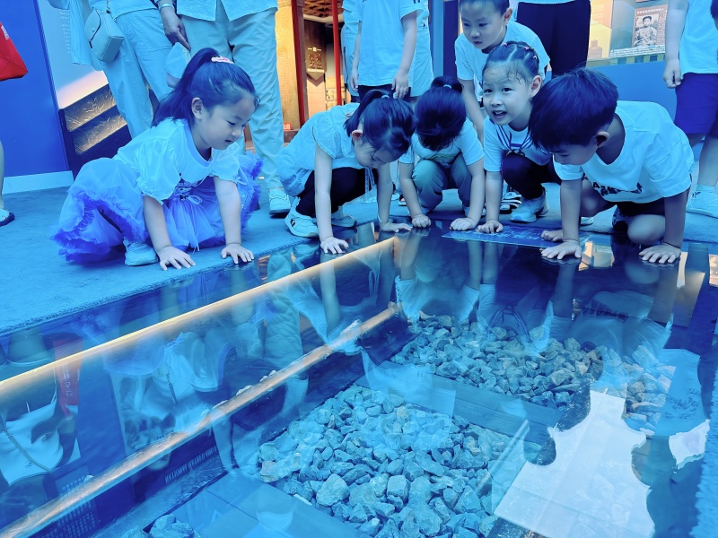 图二：幼儿参观鸡西市博物馆.jpg