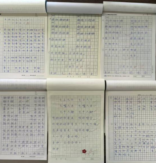 WPS图片(1).png WPS图片(1).png