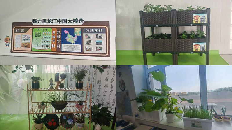 06学生劳动实践成果_副本.jpg