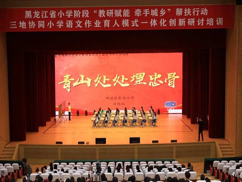 4.鸡西市鸡冠区东风小学许羚怡老师现场做课.JPG