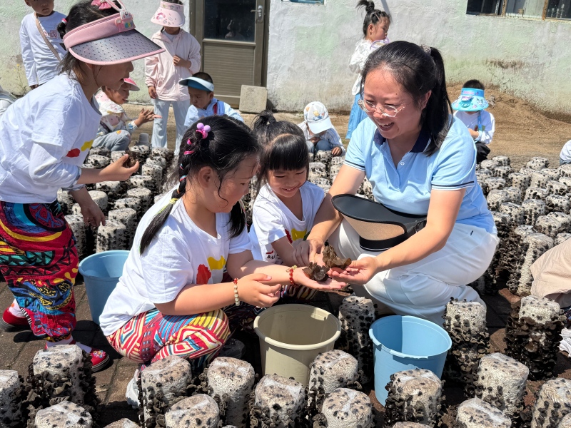 图片3:孩子们亲手采摘木耳.jpg 图片3:孩子们亲手采摘木耳.jpg