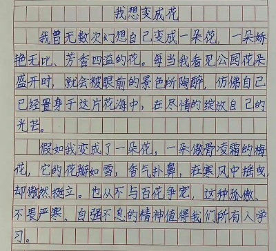 WPS图片(1).png