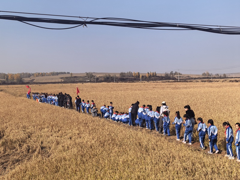 3.师生来到水稻基地开展秋收实践.jpg